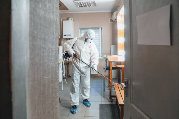 Best Mold Remediation for Healthcare Facilities  in Daniel, UT