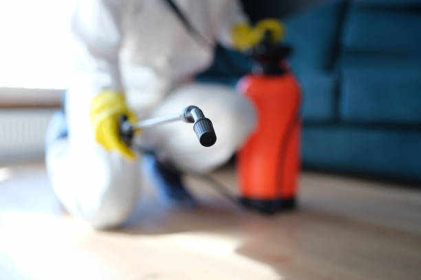 Best Mold Remediation for Rental Properties  in Daniel, UT